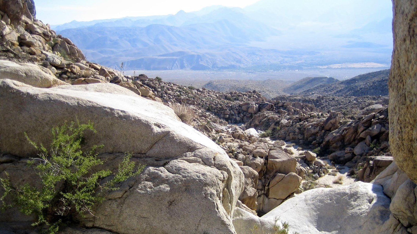 Anza-Borrego Desert State Park: California's Desert Jewel