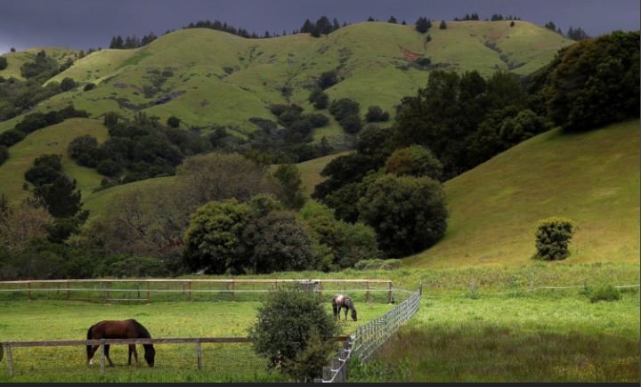 California's Diverse Landscapes