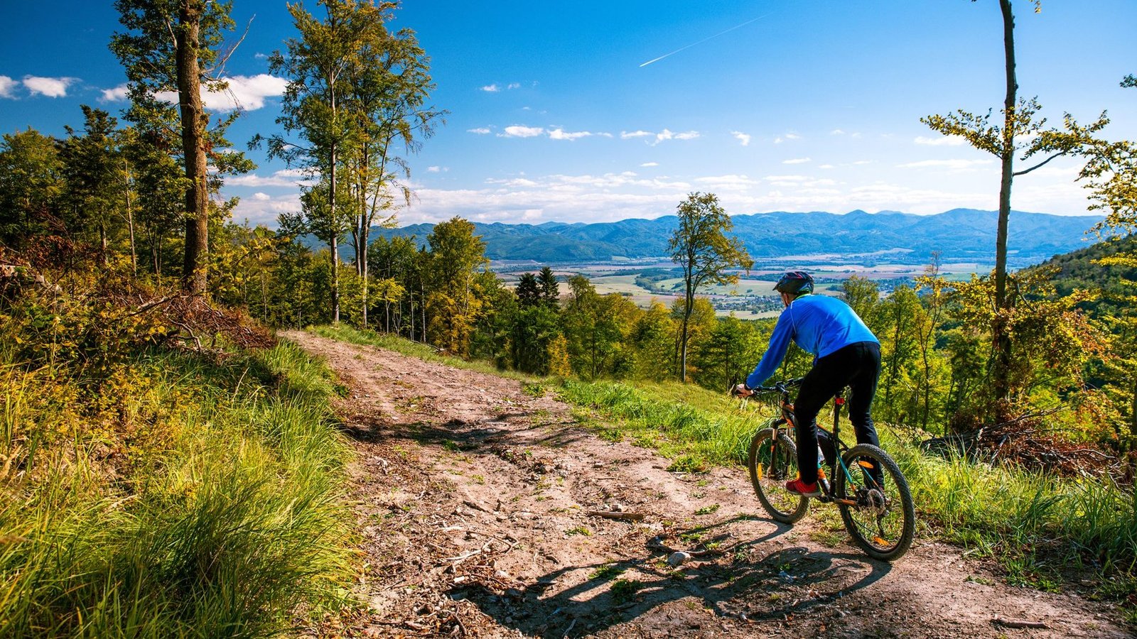 California's Mountain Biking Trails