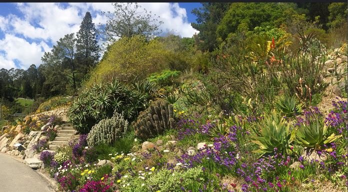 Exploring California’s Botanical Gardens and Arboretums.