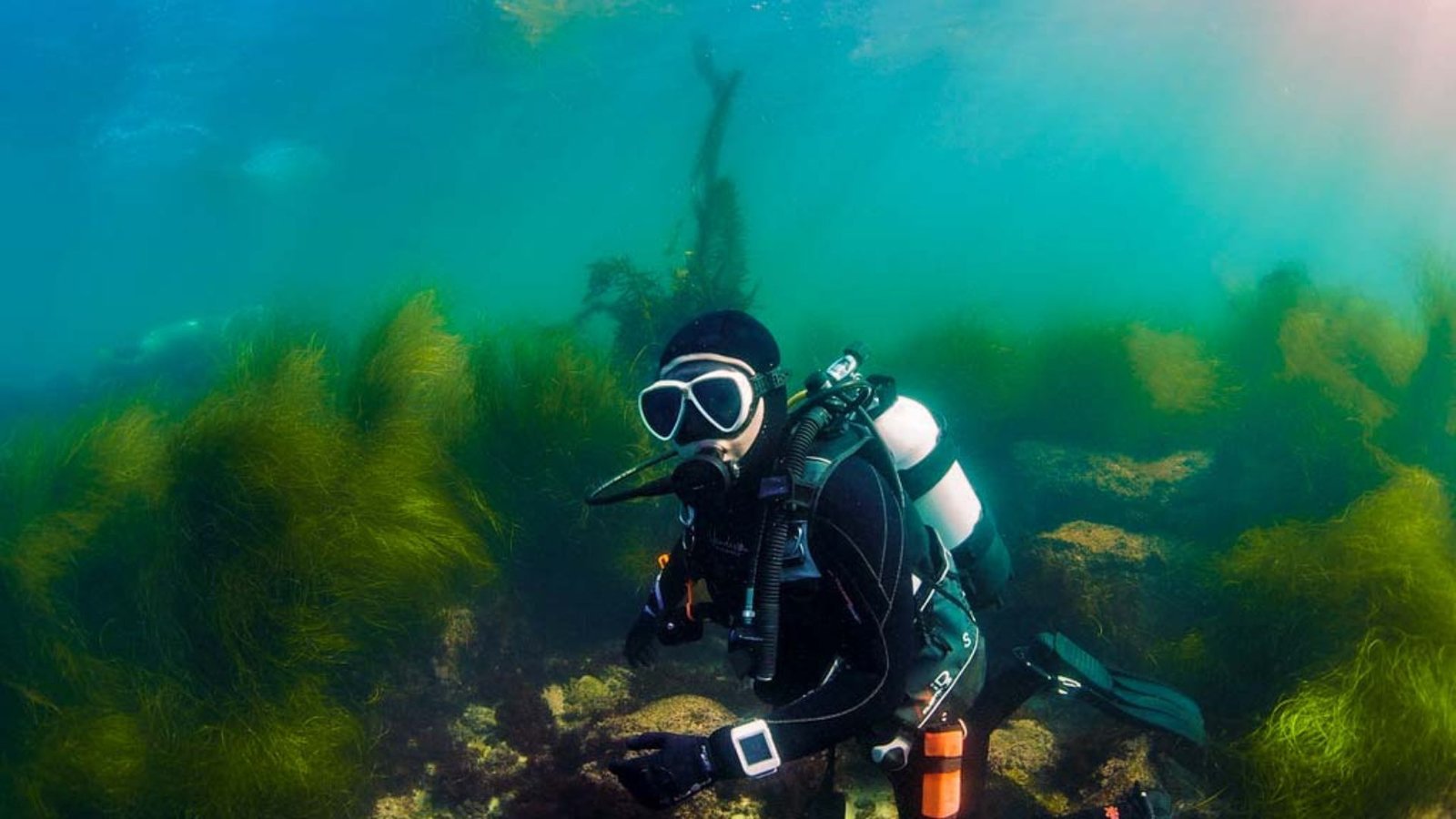 Scuba Diving in California