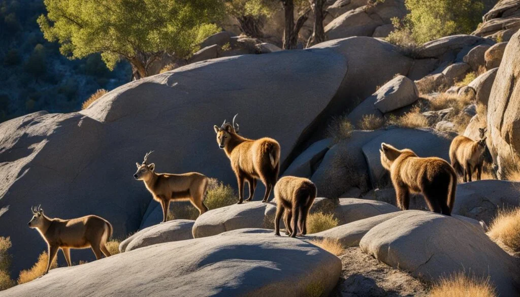 Sierra Nevada Wildlife: Exploring Nature's Treasure Trove