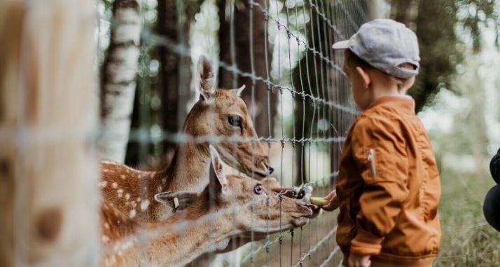 The Best Zoos and Aquariums in California